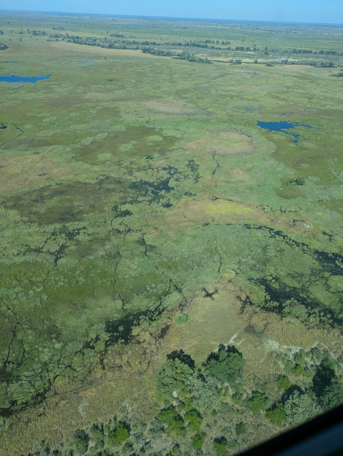 View across the Okavango Delta from the (tiny!) plane